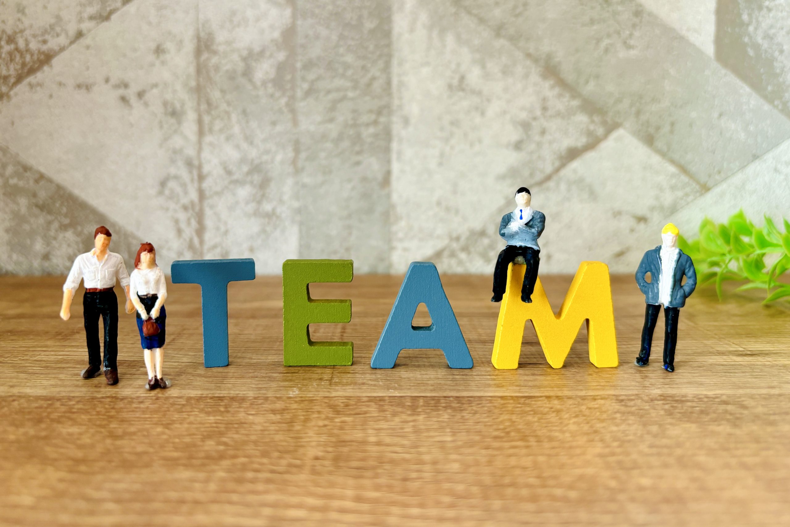 チームメンバー